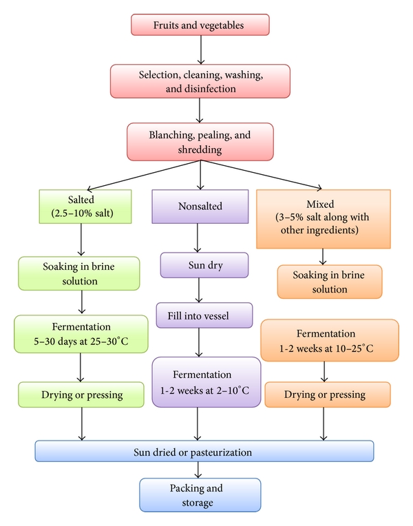 10 Reasons Why Fermented Foods Should Be a Staple in Your Diet