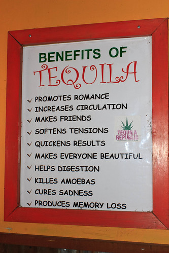 “10 Surprising Benefits of Drinking Alkaline Water for a Healthier You”