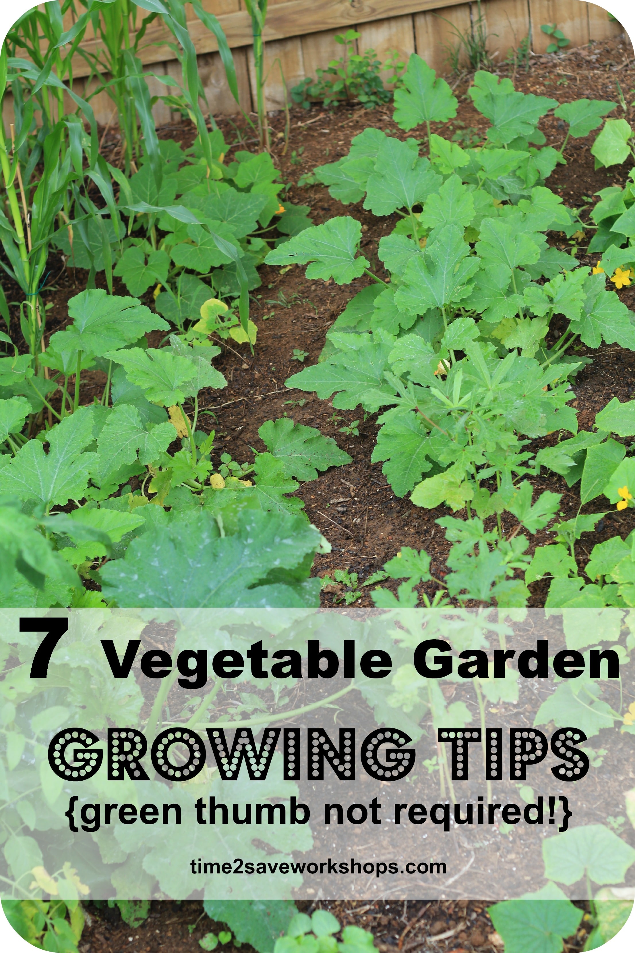“Grow and Harvest Your Own Fresh, Healthy Produce with These Tips!”