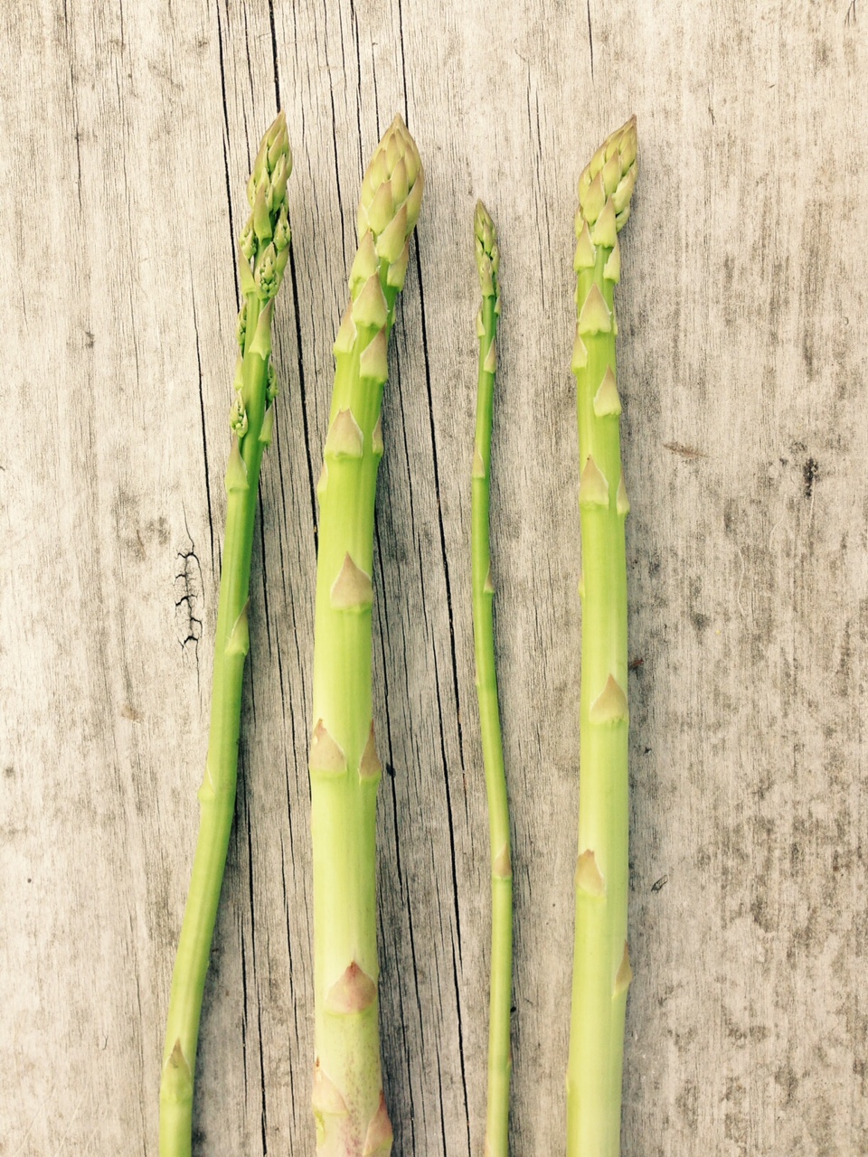 Discover the Health Benefits of New Zealand Asparagus