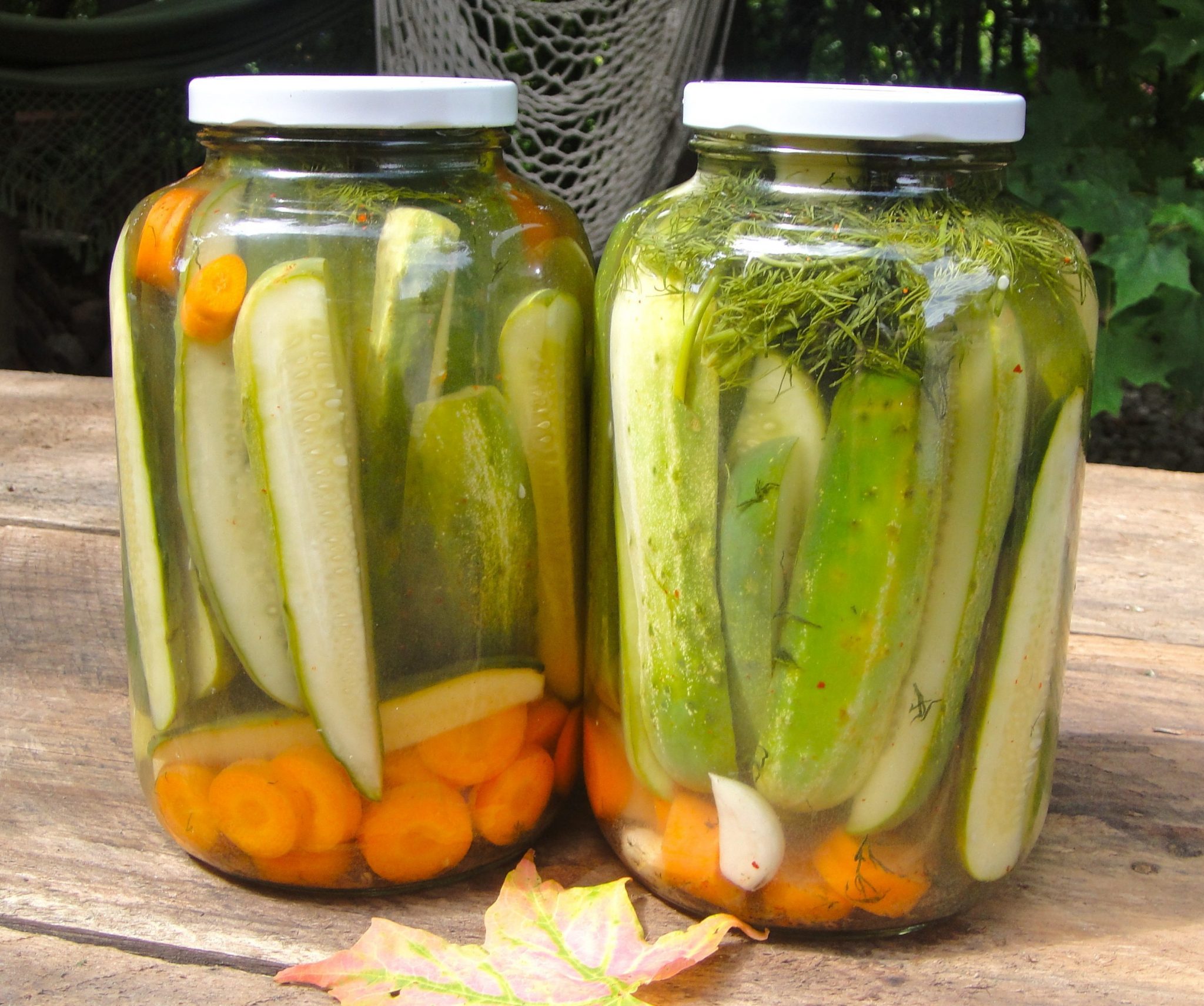 Fermented Foods and Drinks: A Delicious and Healthy Addition to Your Diet