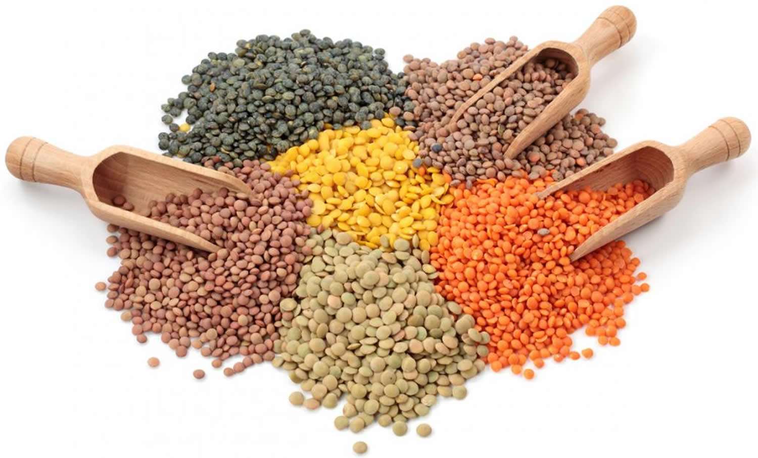 Lentil Protein: The Nutritious Plant-based Food You Need in Your Diet
