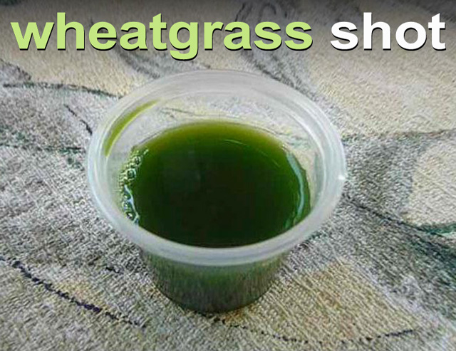 “Discover the 8 Powerful Reasons Why Wheatgrass Juice Should Be a Daily Staple in Your Diet”