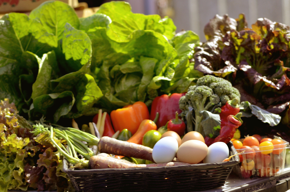 “Get Your Fill of Fresh Produce and Farm Life: Check Out These Must-Visit Farms!”