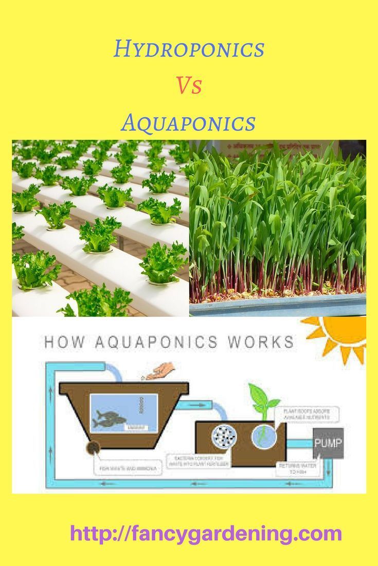 8 Benefits of Hydroponic Farming for Sustainable and Healthy Produce