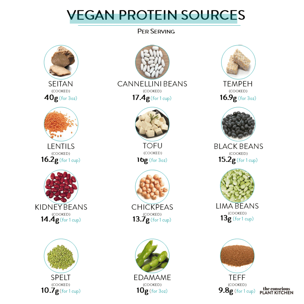 "Plant-Powered Protein: Vegan Sources That Pack a Punch"