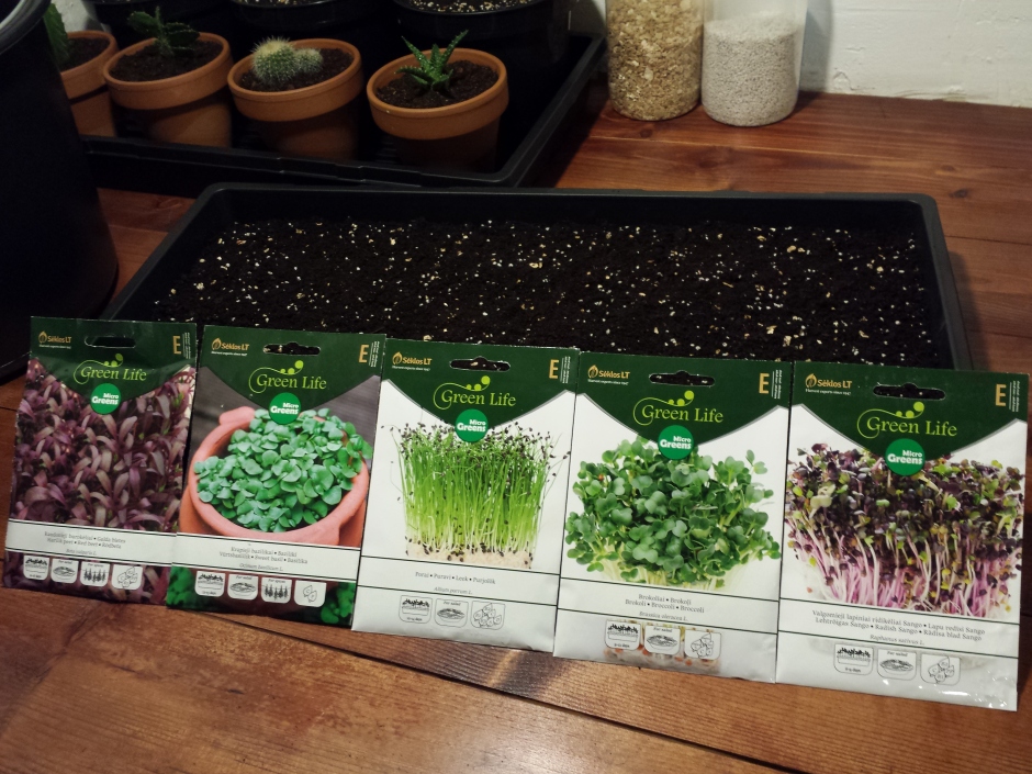 “Grow Your Own Nutrient-Packed Microgreens at Home with These Soil Tips!”