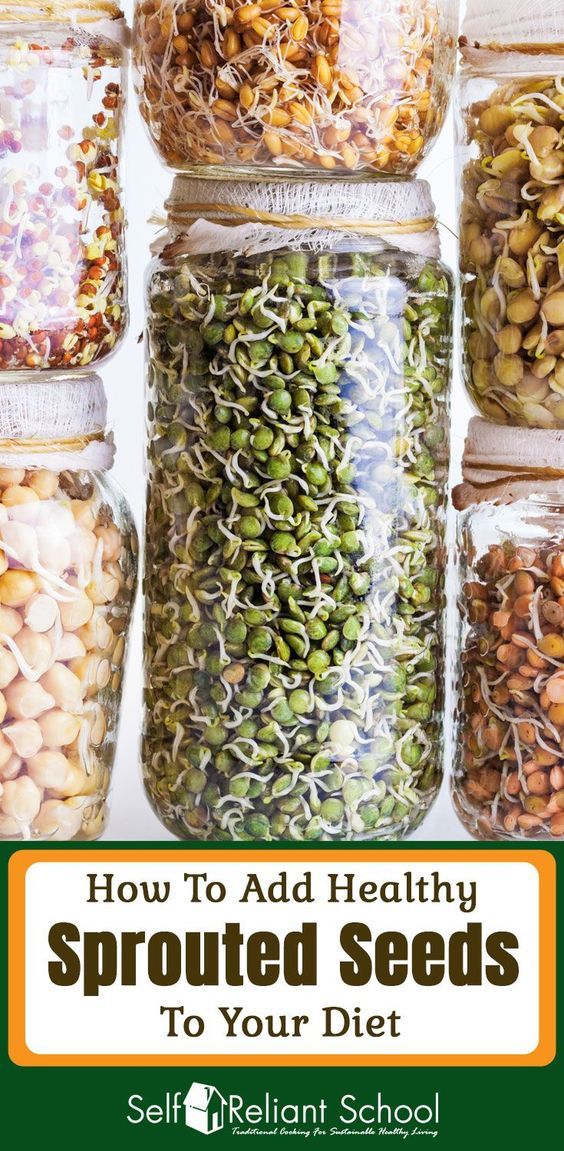 Sprouted Plant-Based Foods: The Nutrient-Dense Addition Your Diet Needs