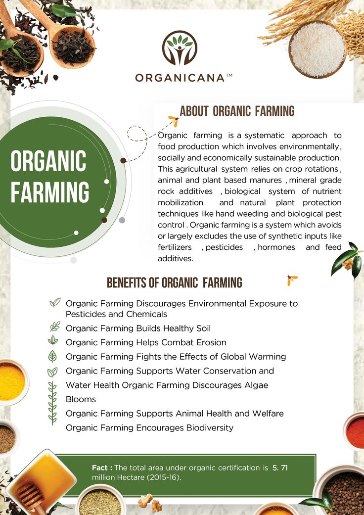 "Going Organic: The Benefits for the Environment, Health, and Economy"