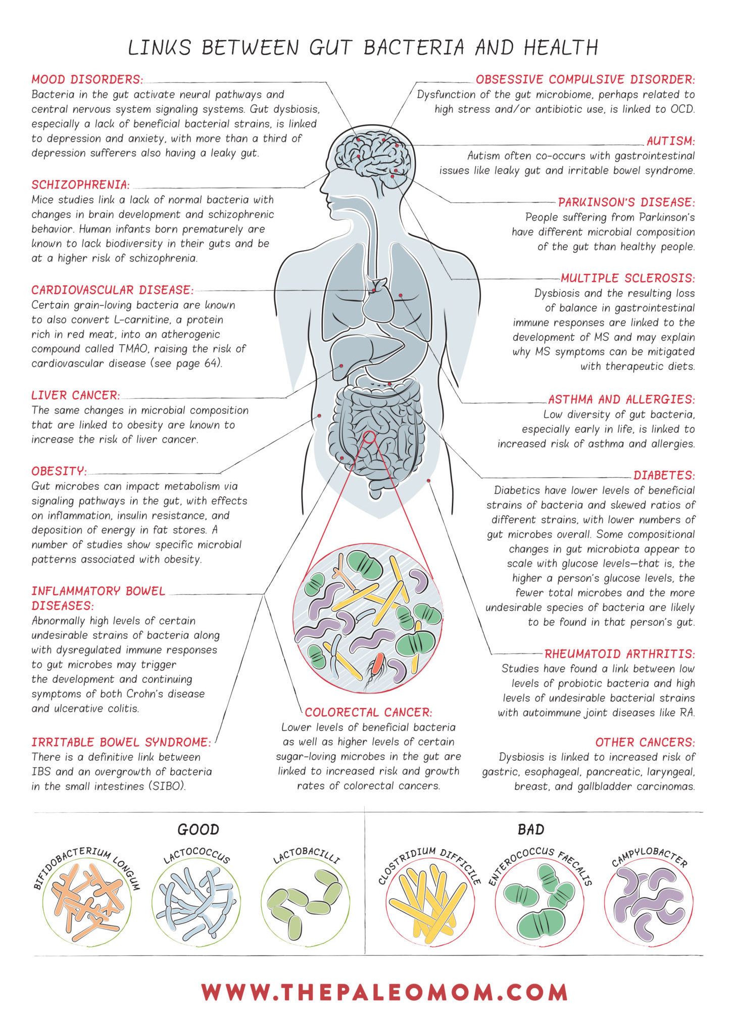 “Unlock the Secret to Overall Well-being: Prioritize Your Gut Health!”