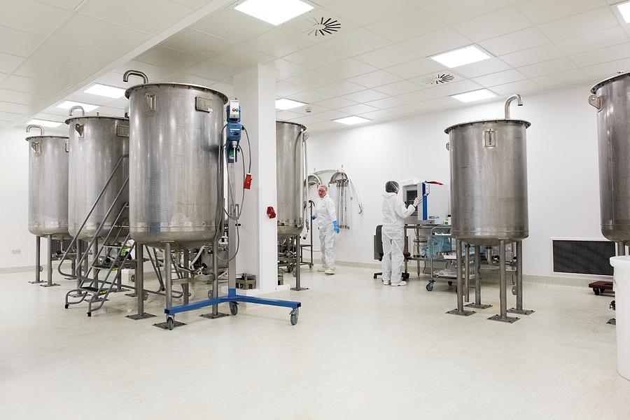 Boost Your Collagen Levels for Youthful Skin and Joints!