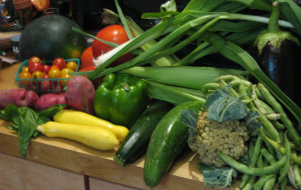 “Panel of Experts Agree: Eating Locally Grown Food Benefits You and Your Community”