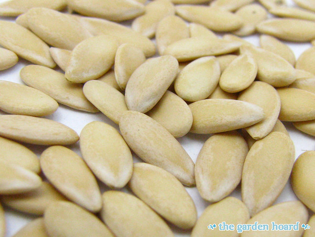 Unleashing the Health Benefits of Cantaloupe Seeds You Never Knew!