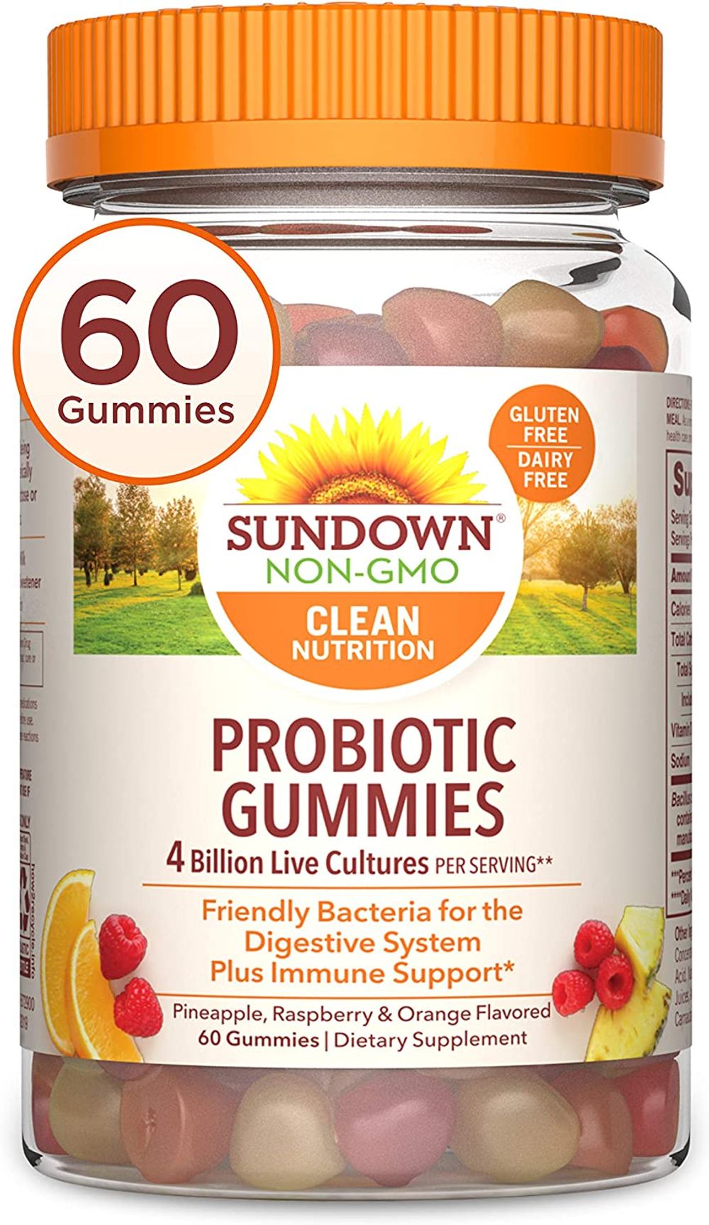10 Delicious Gluten-Free Probiotic Sources for a Healthy Gut