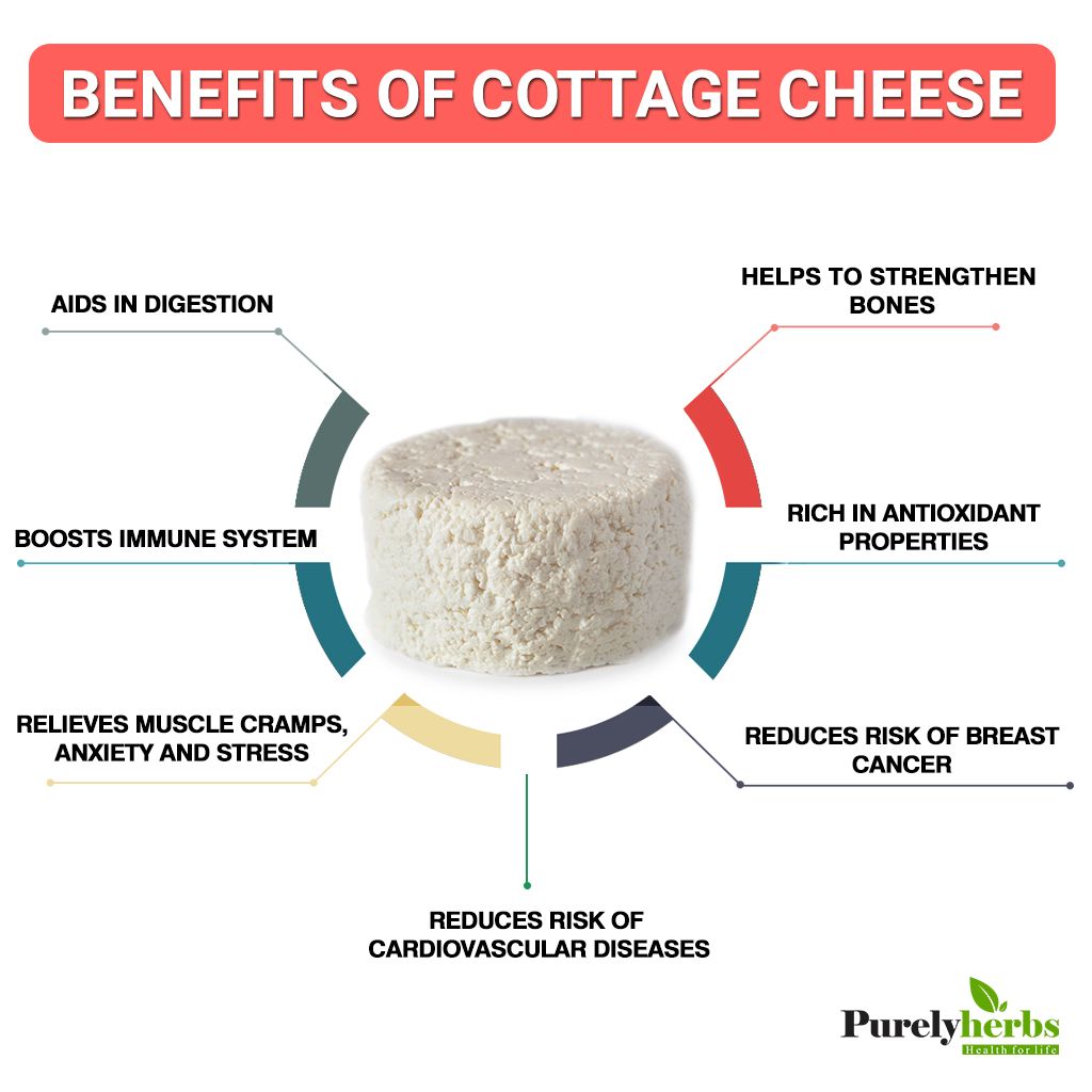 “Cottage Cheese: The Protein-Packed, Low-Calorie Superfood You Need in Your Diet”