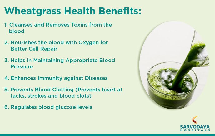 Boost Your Digestive Health with Wheatgrass: A Comprehensive Guide