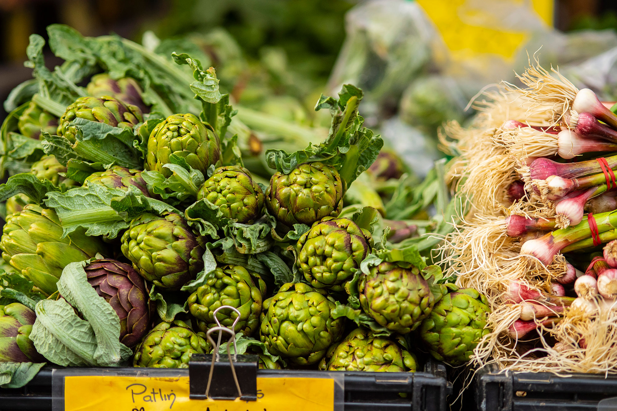 8 Budget-Friendly Seasonal Foods to Keep You Healthy and Satisfied