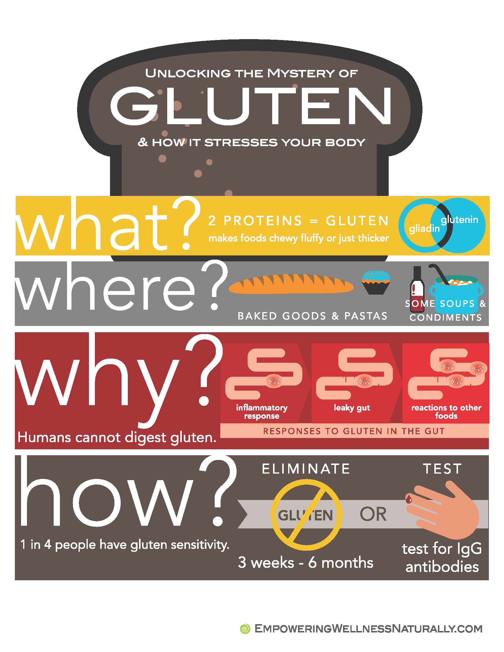 Don’t Believe the Hype: The Truth About Gluten Sensitivity