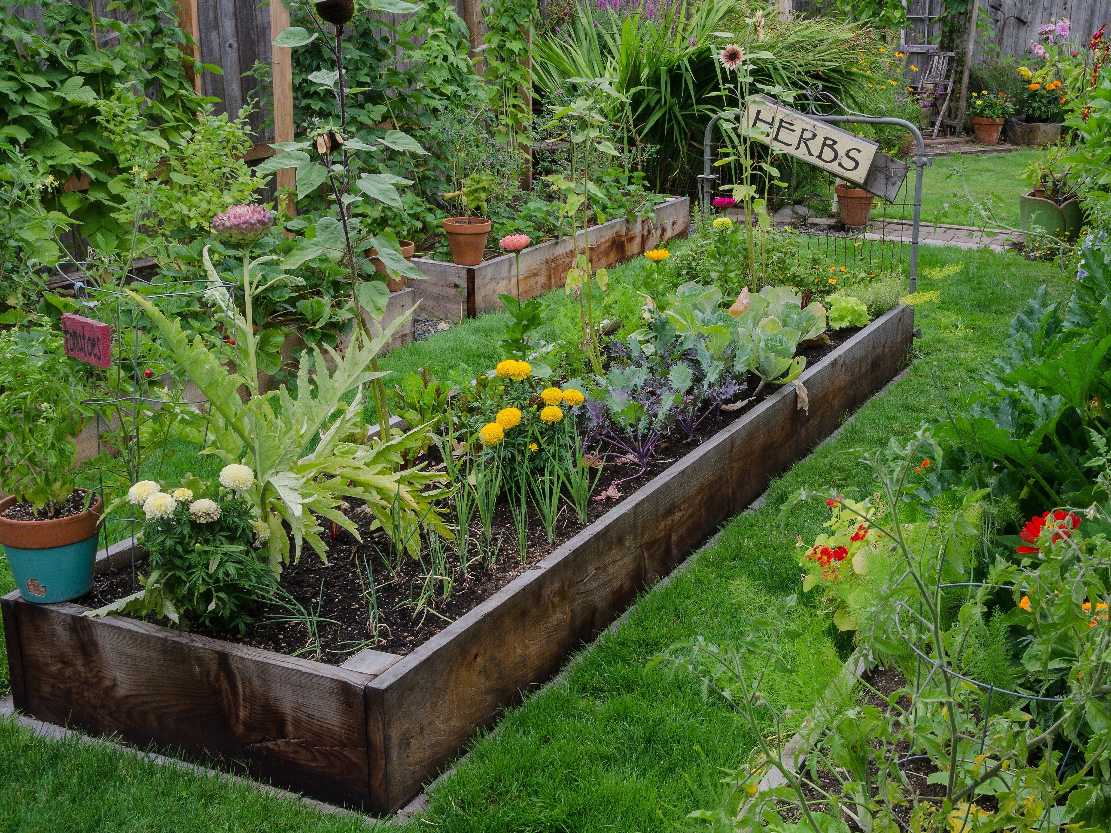 Get Your Hands Dirty: Start a Vegetable Garden Today!