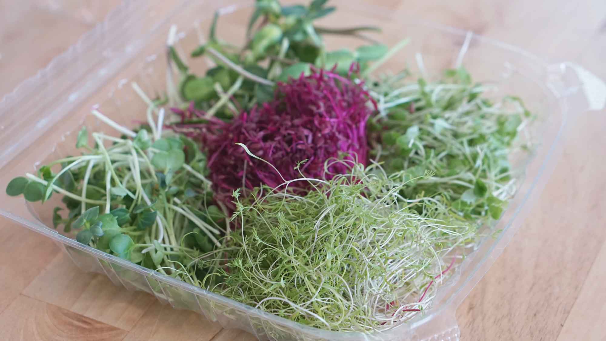 Boost Your Health with Amaranth Microgreens!