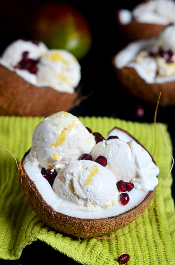 5 Delicious DairyFree Ice Cream Recipes Using Coconut Milk Wynter's