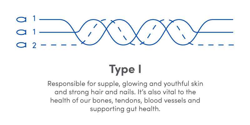 Unleashing the Power of Collagen: The Different Types and How to Boost Production Naturally