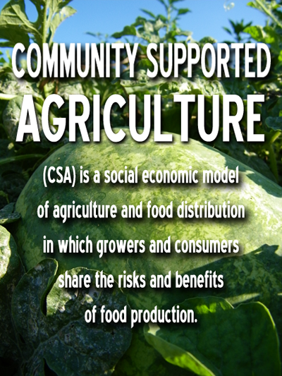 "Is CSA Right for You? Weighing the Pros and Cons of Community-Supported Agriculture"