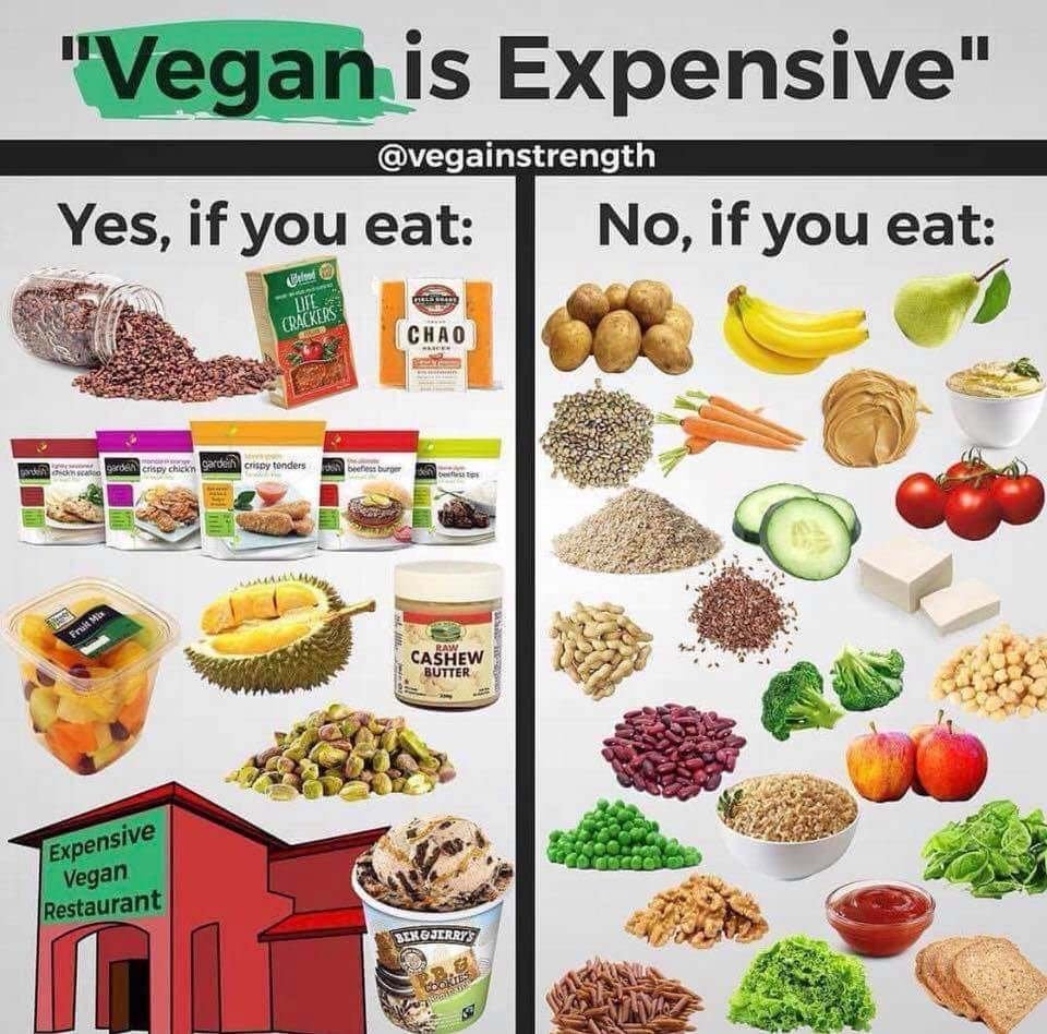How to Make Veganism Affordable: Tips and Tricks for Budget-Friendly Plant-Based Eating