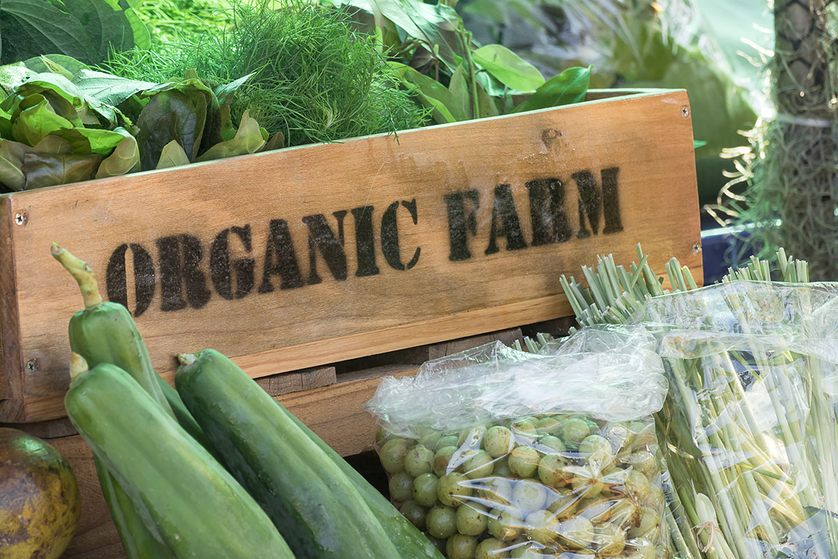 Organic Certification: Promoting Sustainable Farming Practices and Healthy Eating Habits