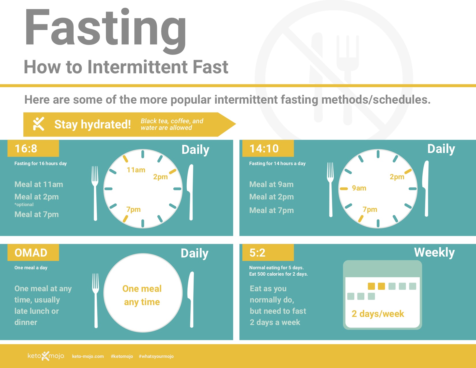 Uncovering the Historical Roots of Intermittent Fasting and Portion Control for Better Health