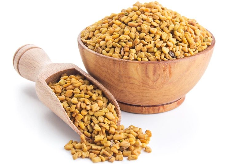 Discover the Nutritional and Medicinal Powers of Fenugreek