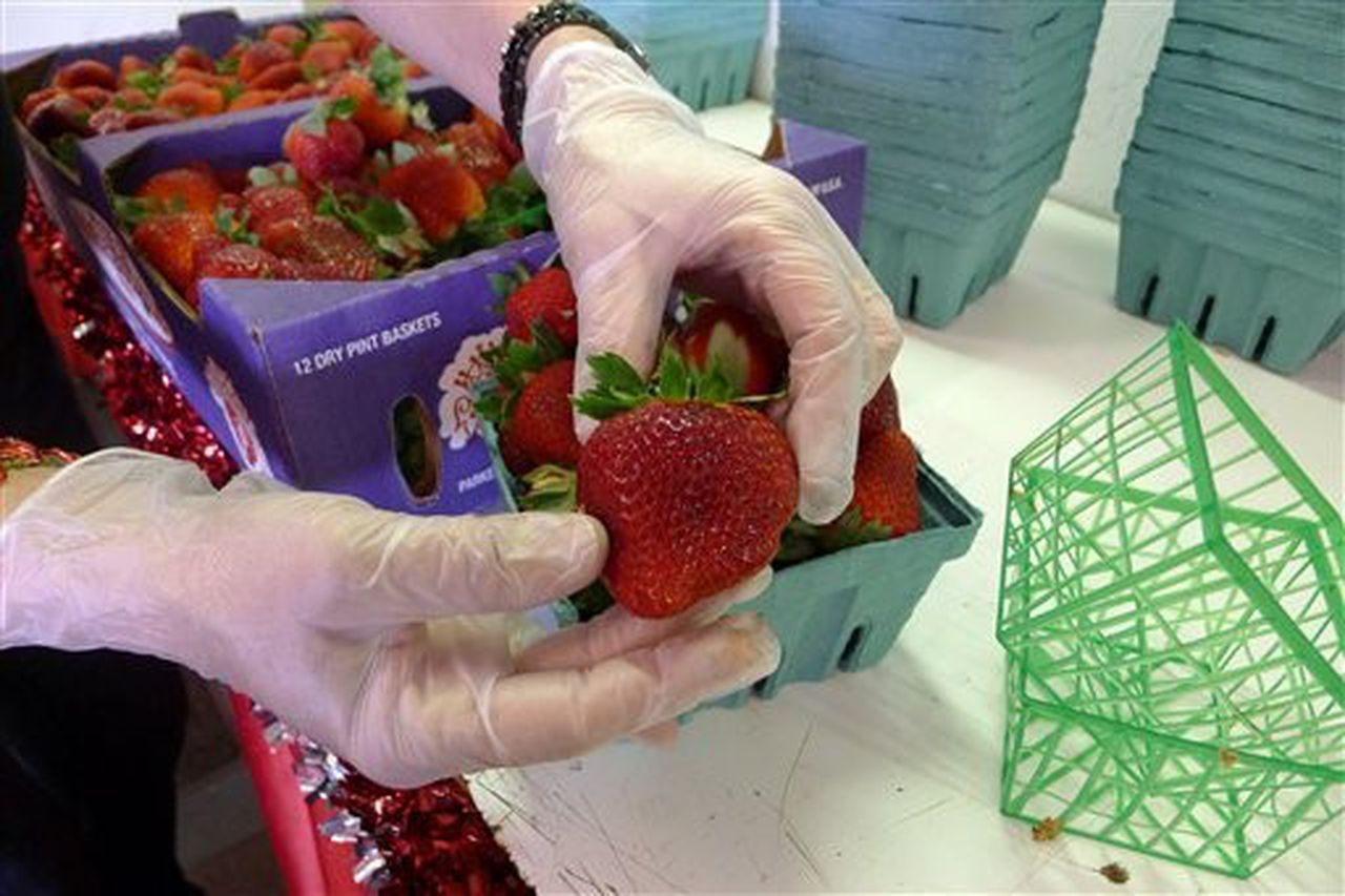 Financial Expert Reveals the Profitable Benefits of Growing Strawberries