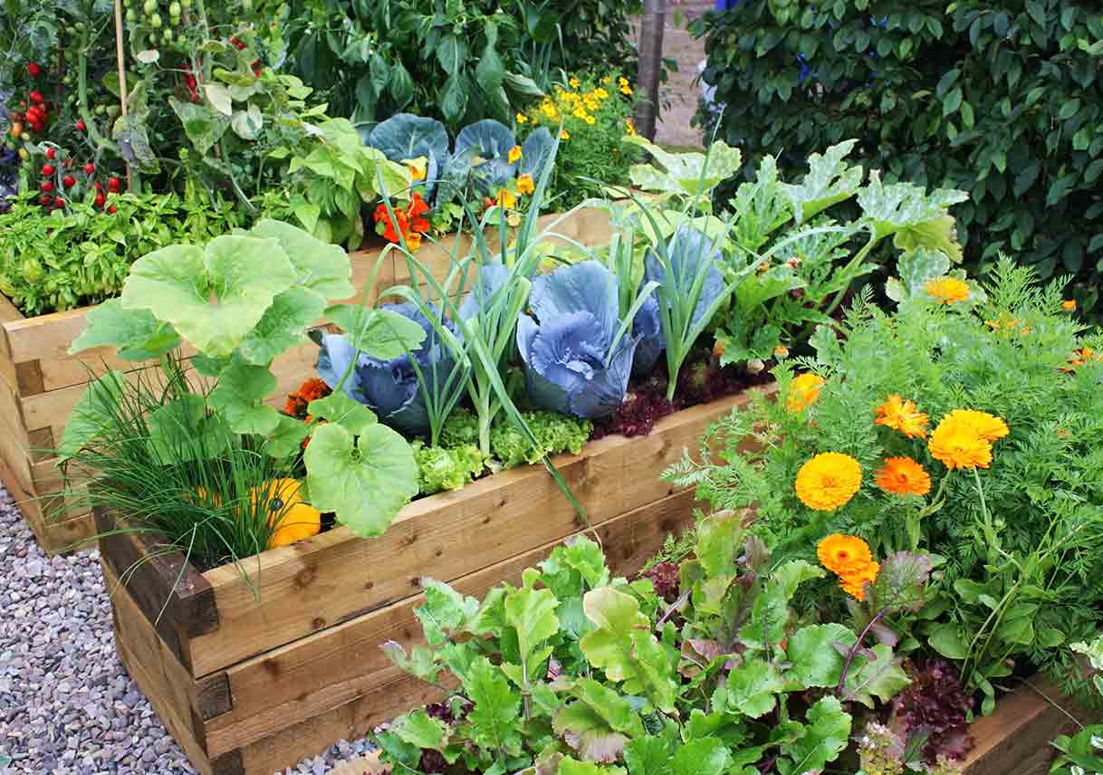 “Grow Your Own Food and Beautify Your Yard with Edible Landscaping: 8 Tips to Get Started!”