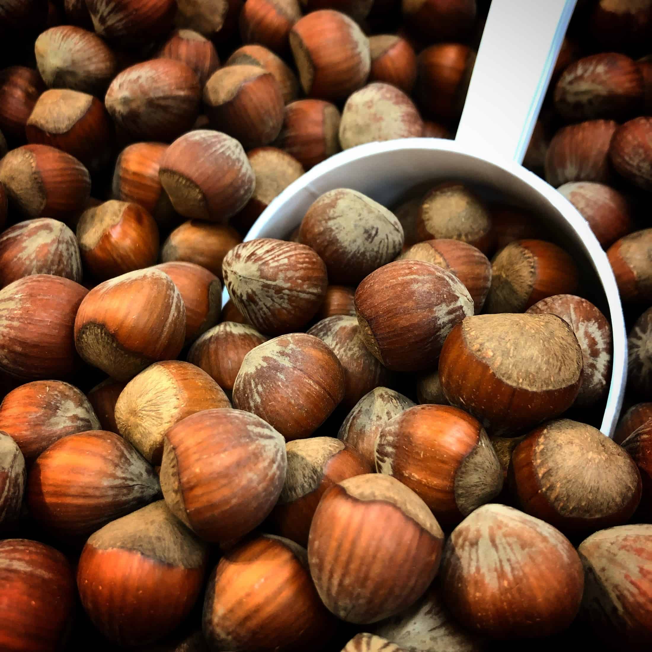 Hazelnuts: The Delicious and Nutritious Superfood You Need in Your Life!