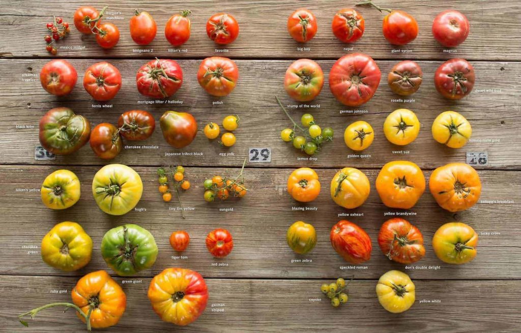 Unlock the Flavor and Nutrition of Heirloom Varieties for Healthy Eating