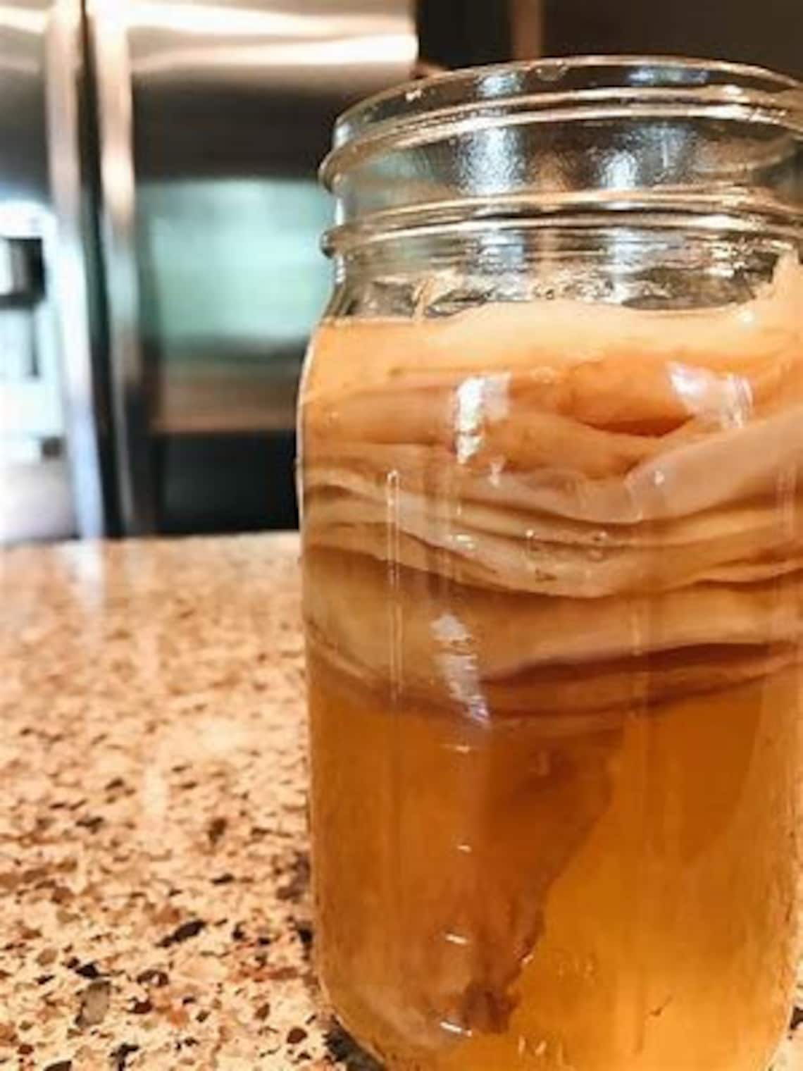 Discover the Health Benefits of Kombucha SCOBY for Your Gut!