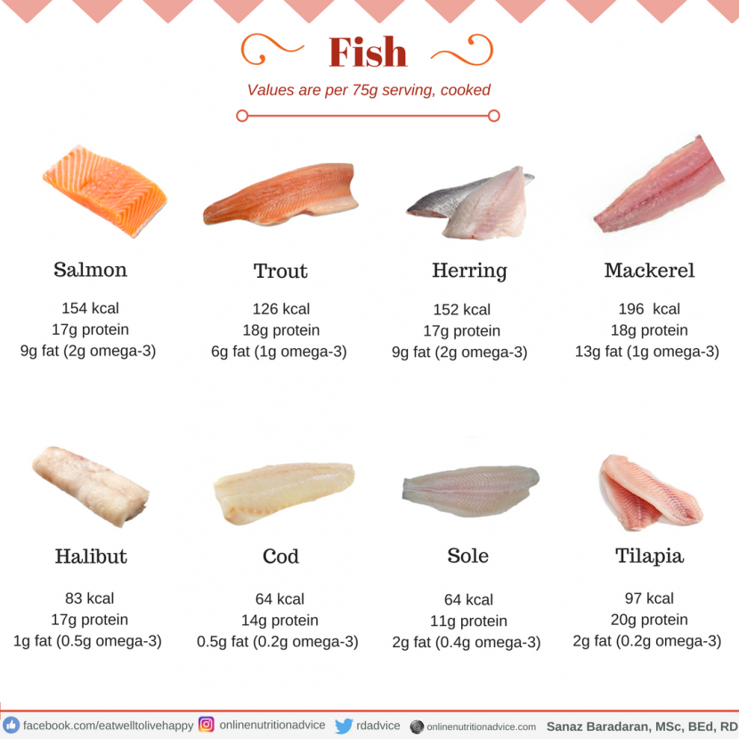 Why Fish is the Ultimate Protein Source for a Healthy Diet
