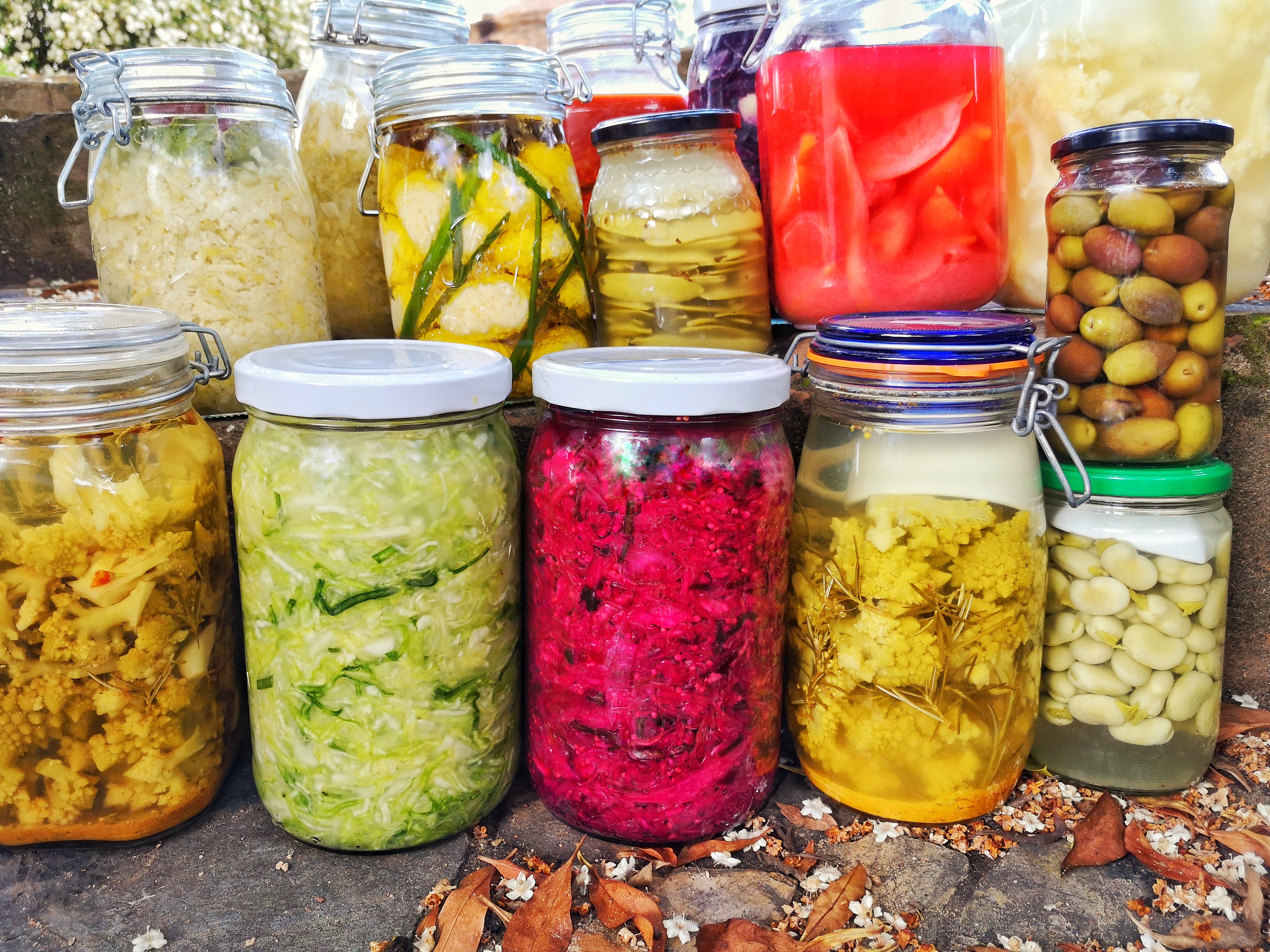 Discover the Health Benefits of Fermented Foods: From Kimchi to Kombucha!