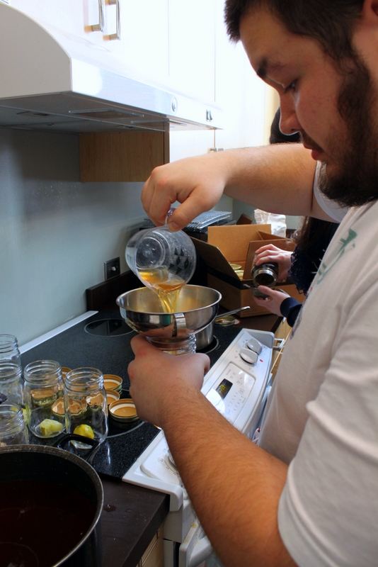 “Ensuring Safe Consumption: The Cost of Kombucha Lab Testing Explained”