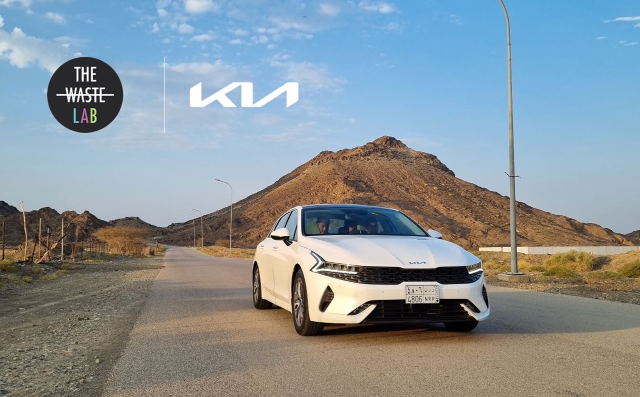 10 Tips to Reduce Food Waste at Home and Save Money!