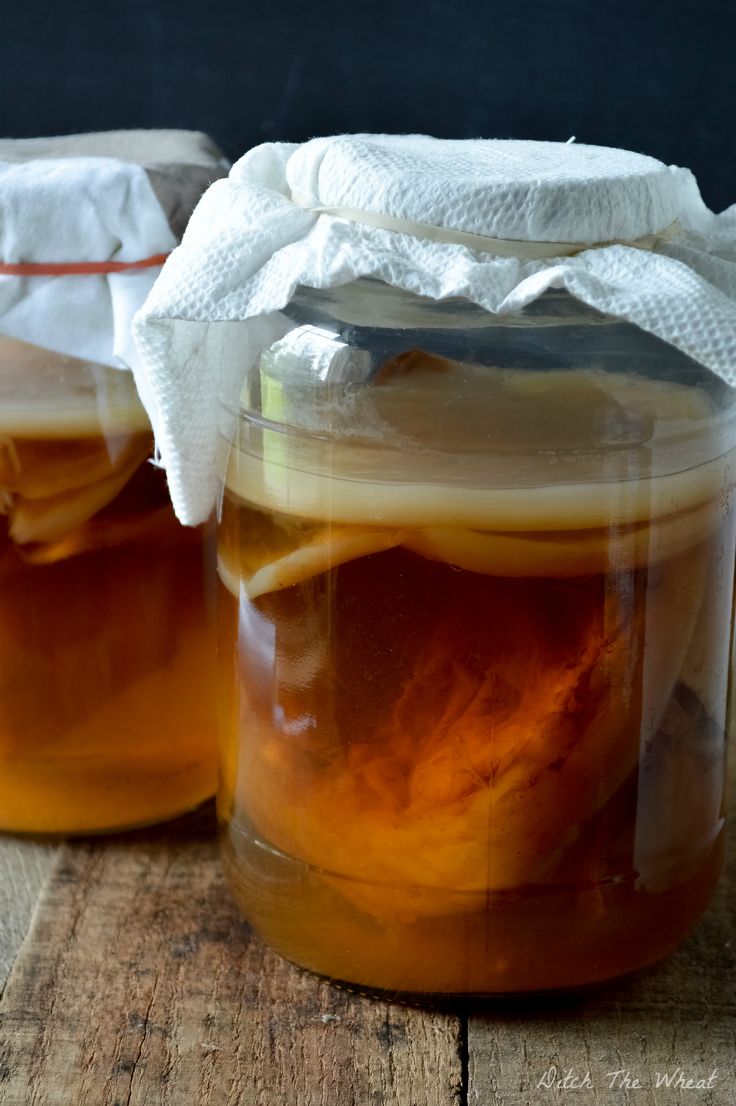 Brew Your Own Kombucha with This Guide to Making and Using a SCOBY