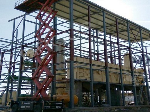 The Ultimate Guide to Growing and Harvesting Soybeans: Tips and Tricks for a Bountiful Crop!