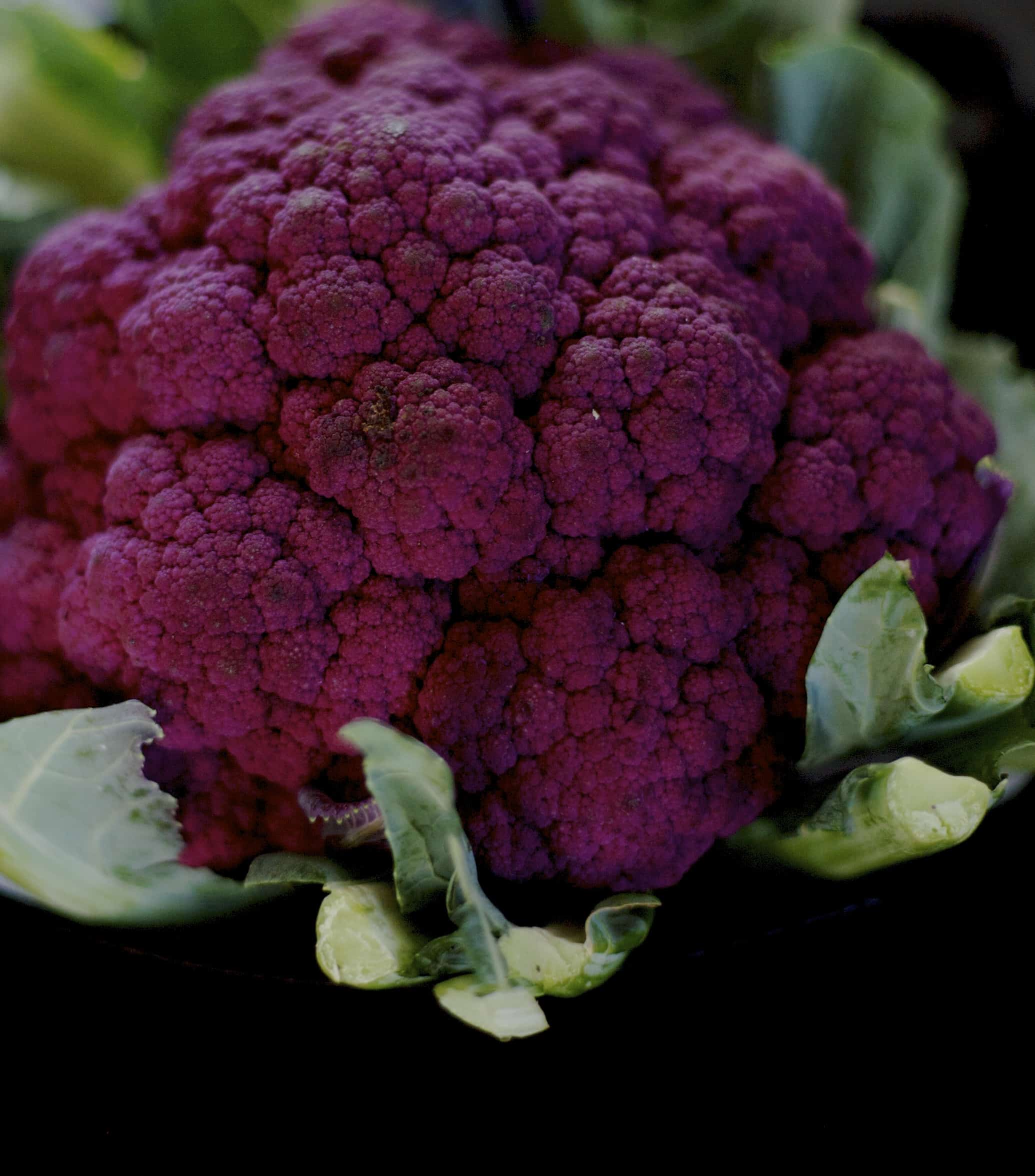 Discover the Health Benefits of Purple Cauliflower