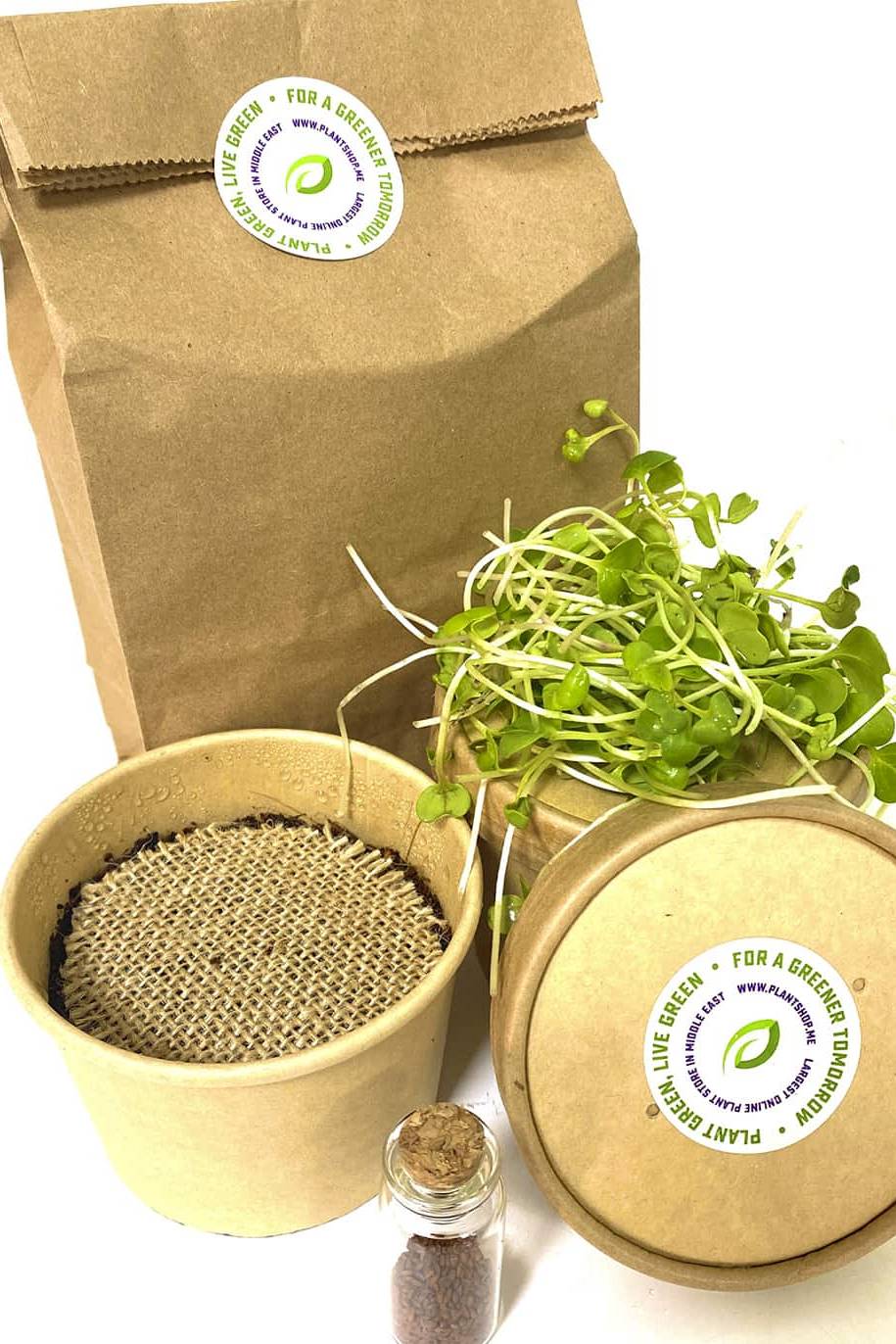 “Get Your Daily Dose of Nutrients with Easy-to-Grow Microgreens!”