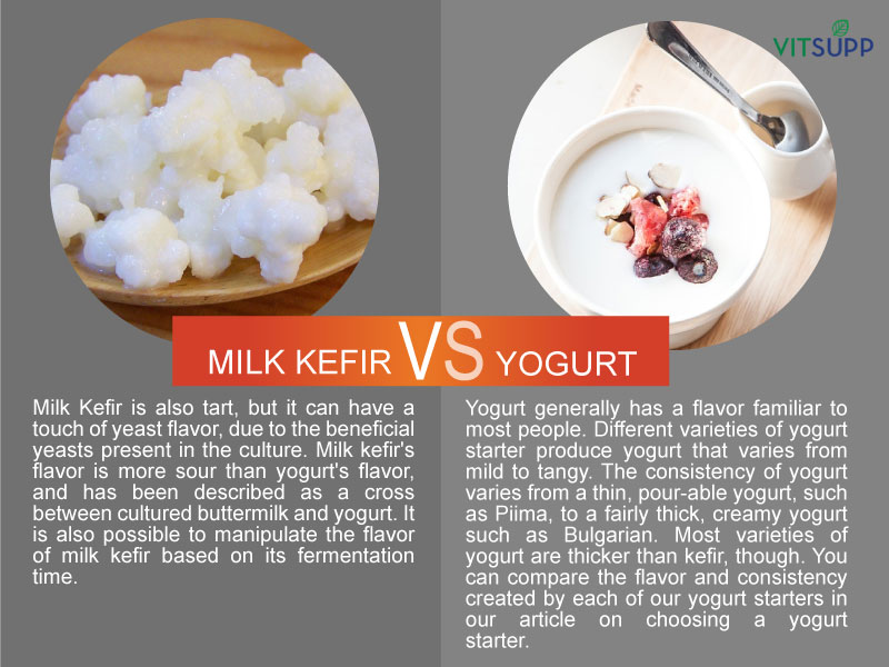 Kefir vs Yogurt: Which One Should You Choose for Better Health?