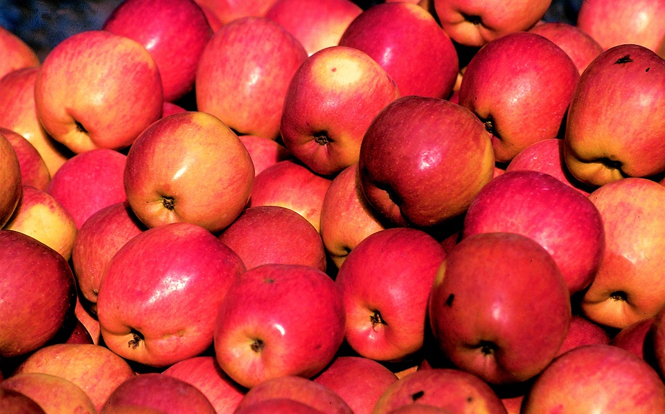 Organic vs. Conventional Apples: Which is the Healthier Choice?