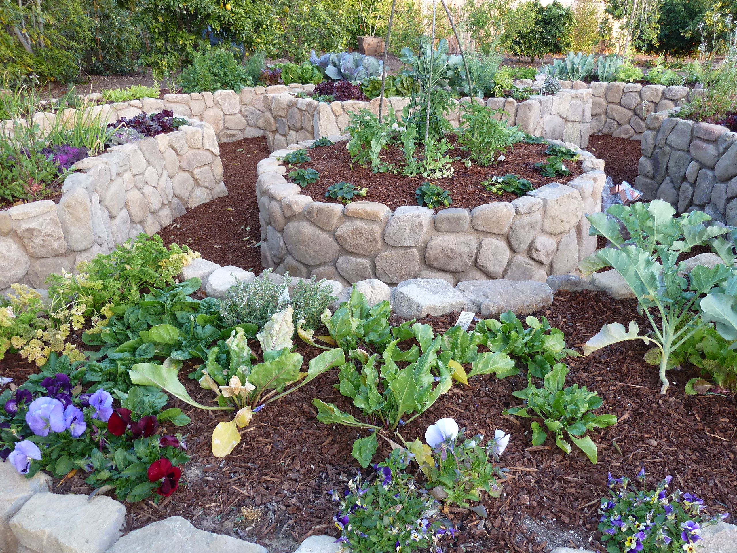 “Grow Your Own Food and Beautify Your Outdoor Space with Edible Landscaping”