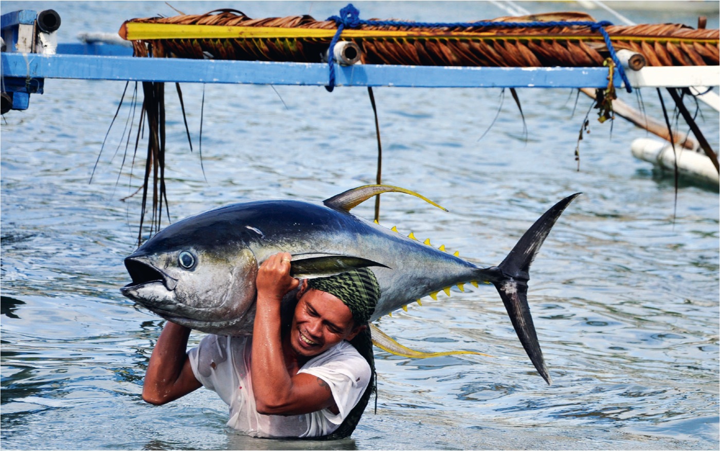 Tuna: A Versatile and Nutritious Fish for Your Diet