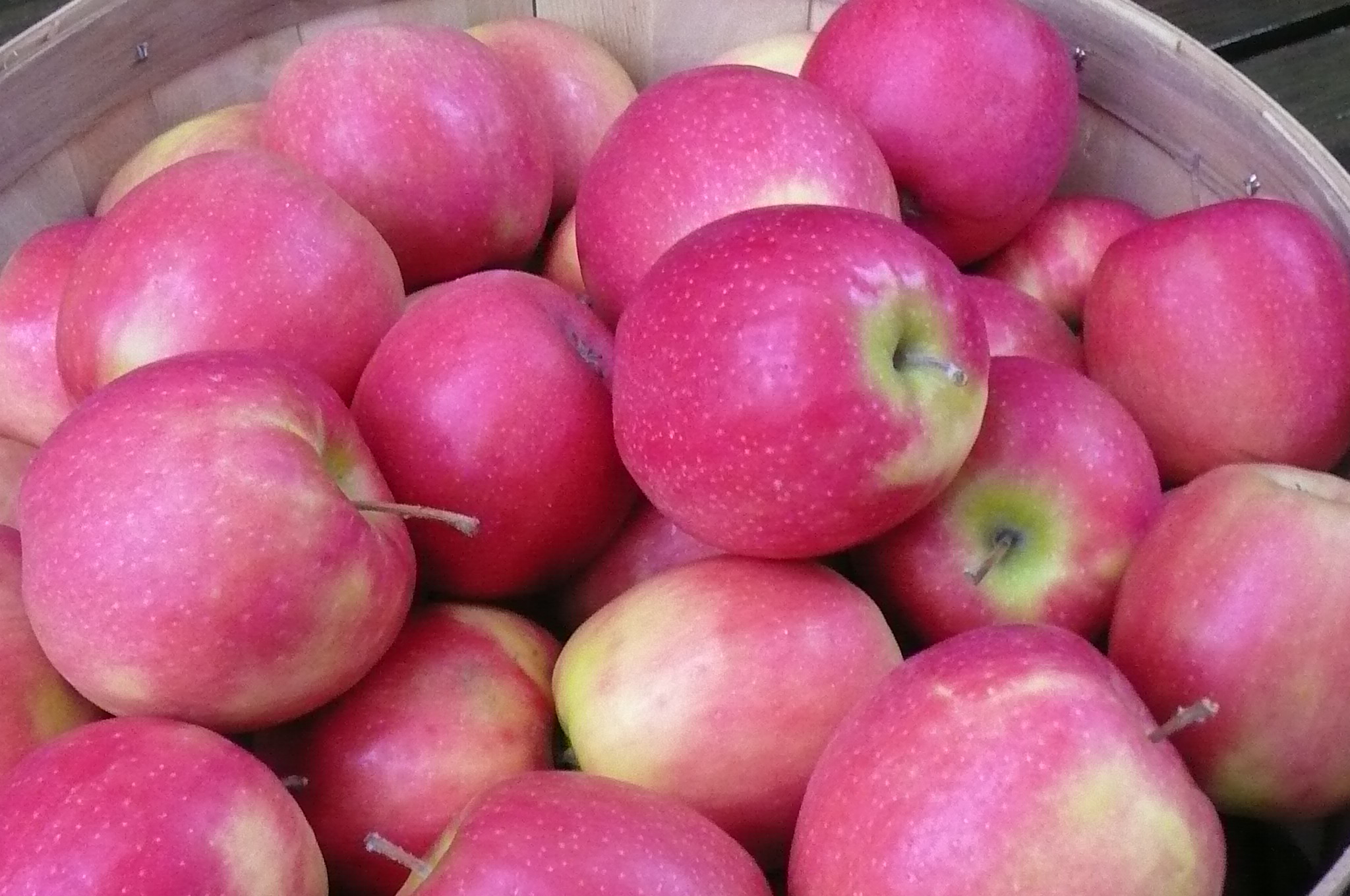 Discover the Health Benefits of Pink Lady Apples: A Delicious Addition to Your Diet