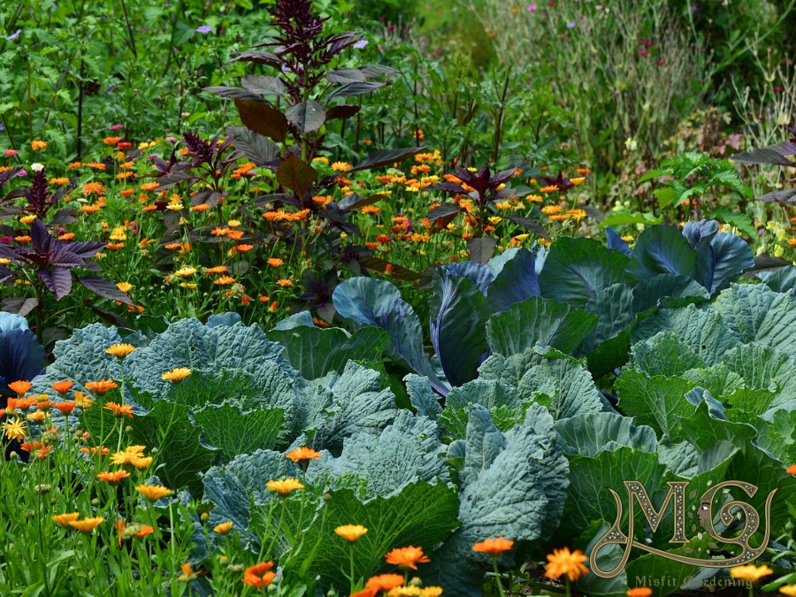 “Growing a Sustainable Future: The Power of Permaculture Gardening”